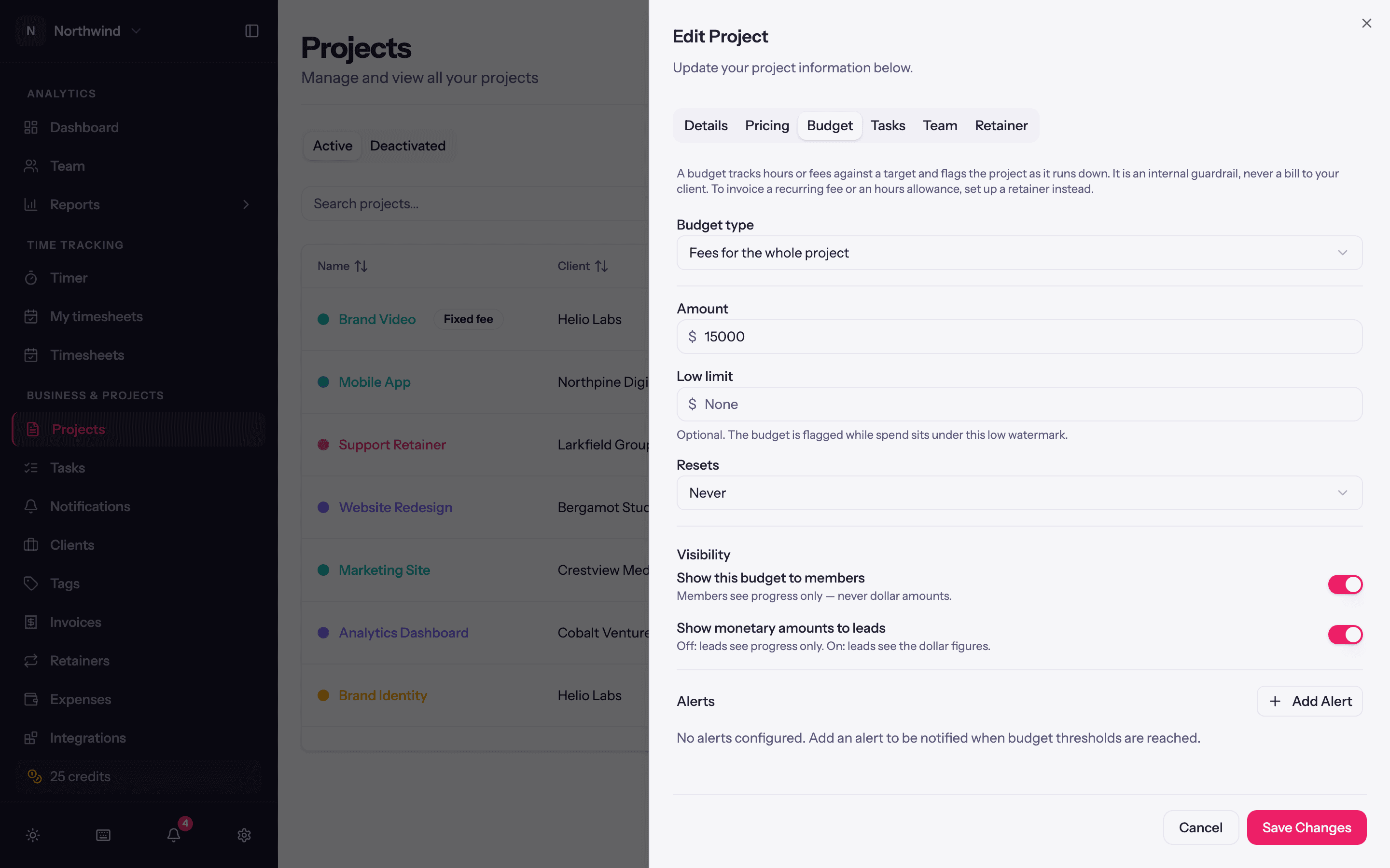 The Budget tab with the budget type picker, amount, low limit, resets and visibility.