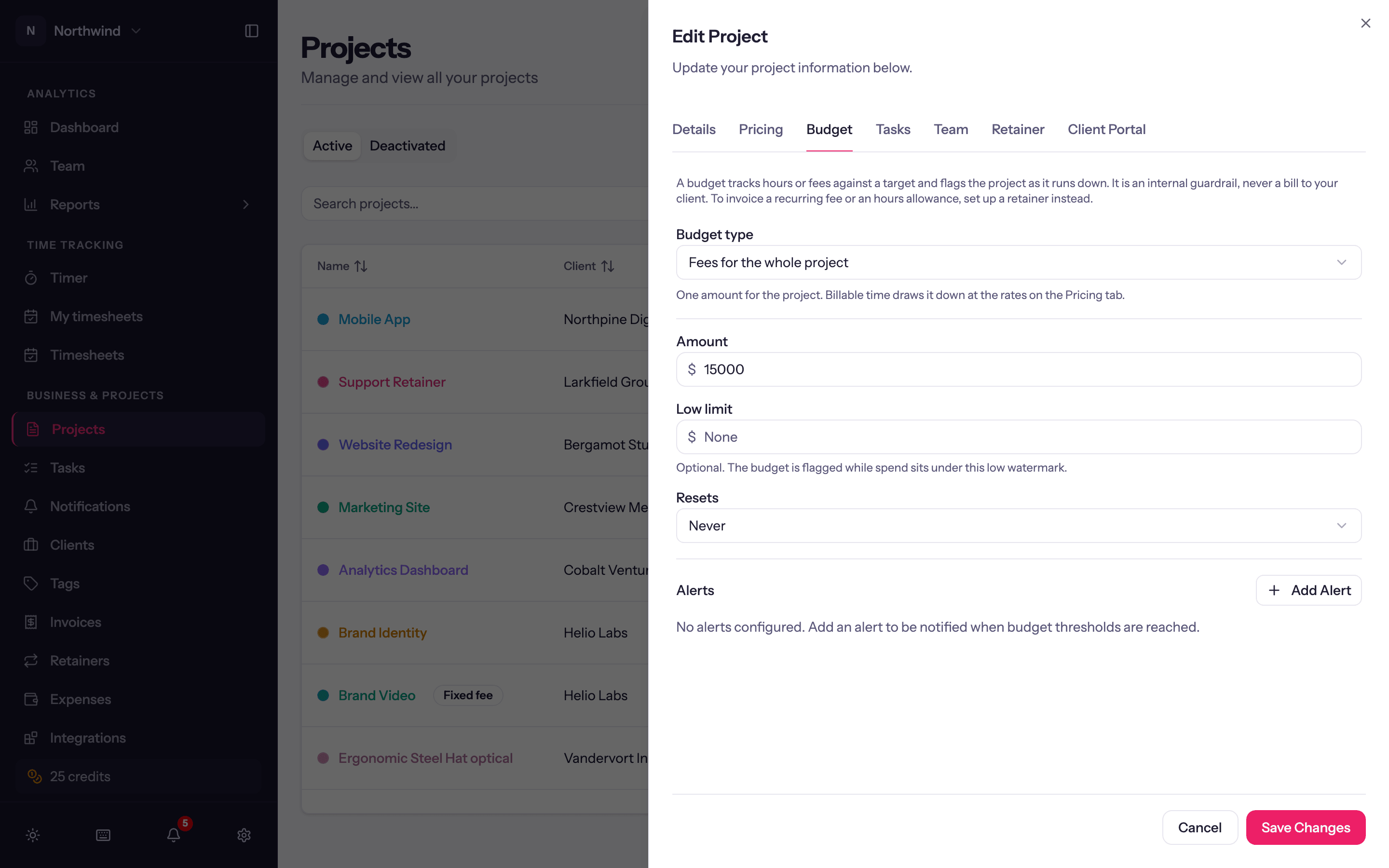 The Budget tab with the budget type picker, amount, low limit, resets and visibility.