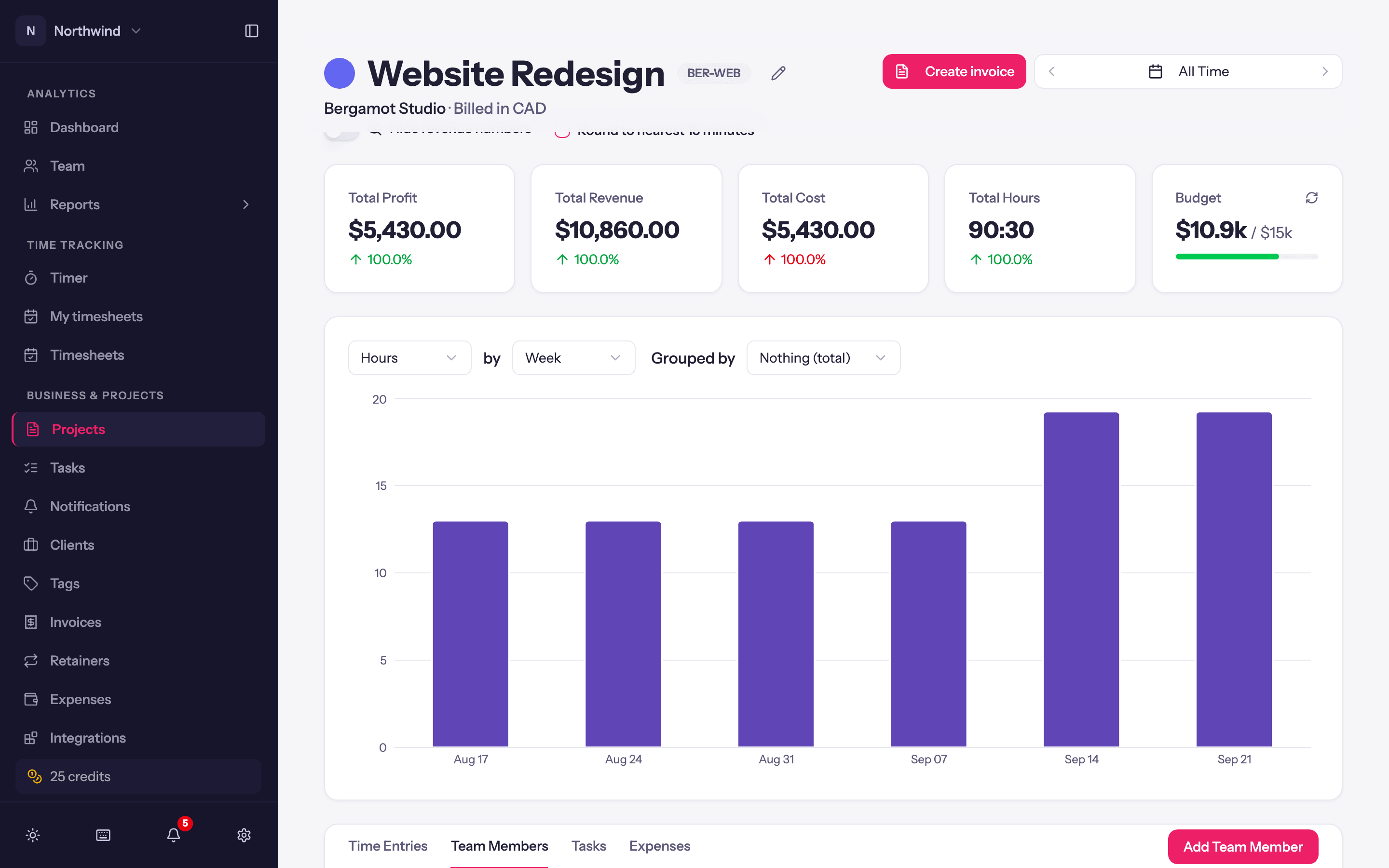 The Team Members tab on a project page, with each person's role, hours and rates.