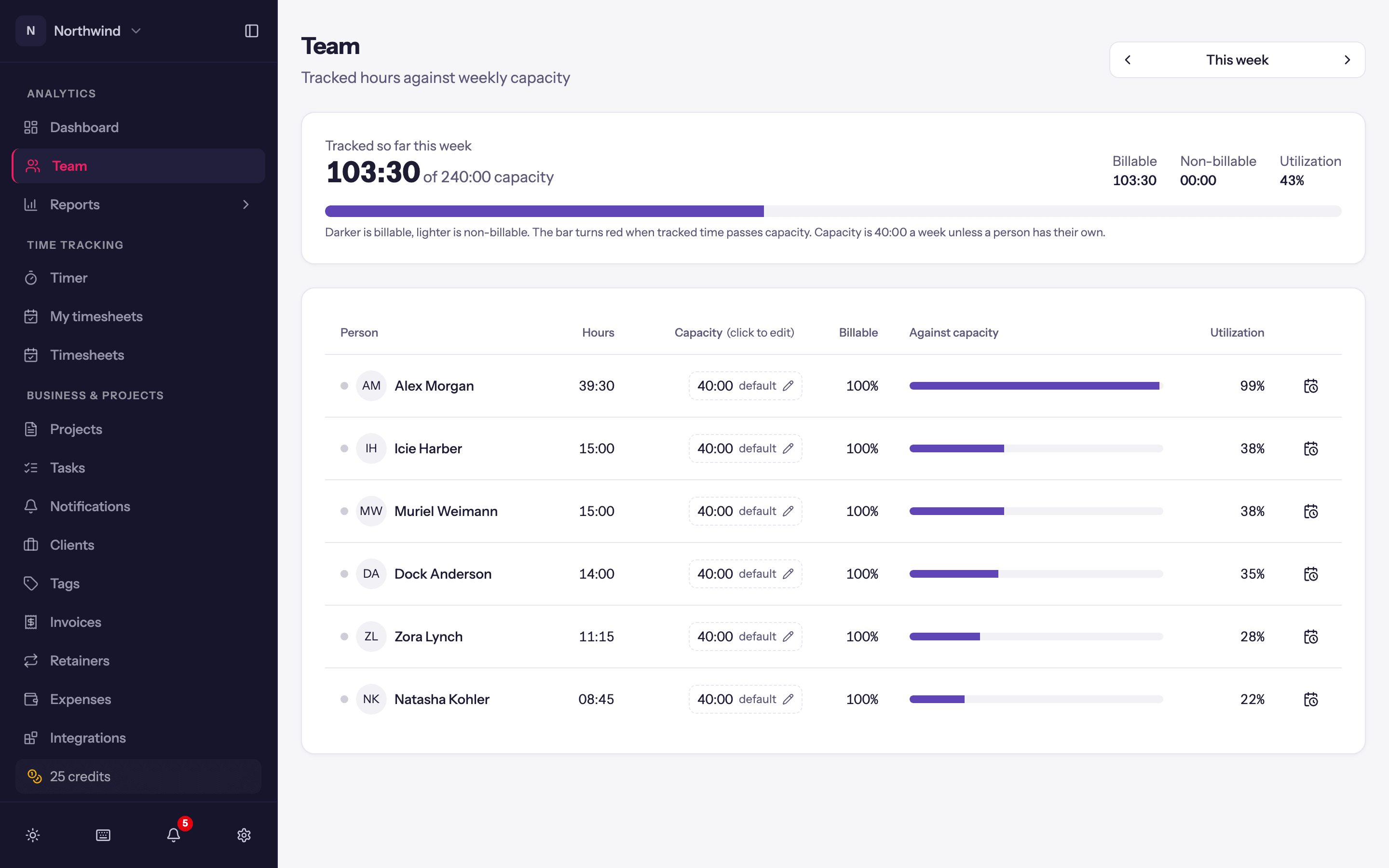 The Team page: each person's hours against their weekly capacity.